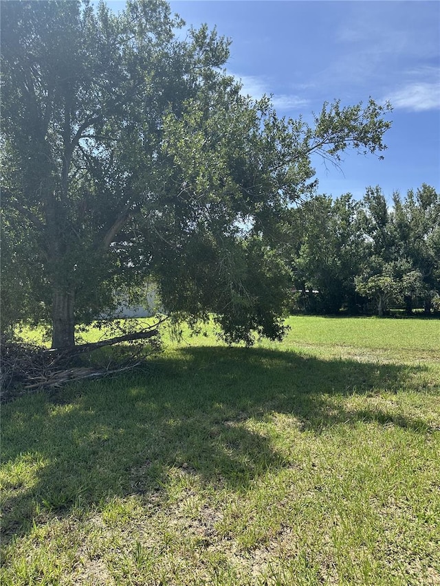 413 E Henry St, Punta Gorda, FL 33950 - photo 25