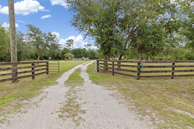 1326 NW Eucalyptus Ave, Arcadia, FL 34266 - photo 2