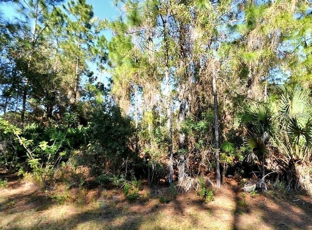 Larrimore Ave, North Port, FL 34291