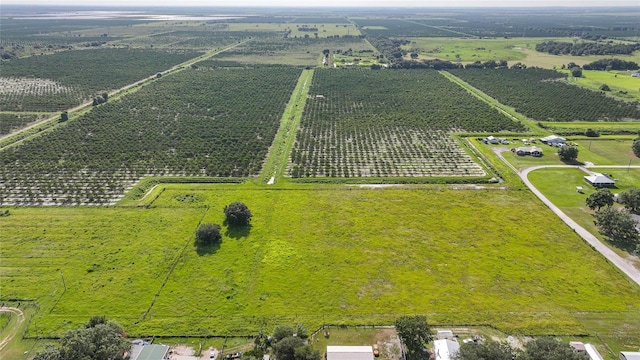 NE Edwards Dr, Arcadia, FL 34266 - photo 4
