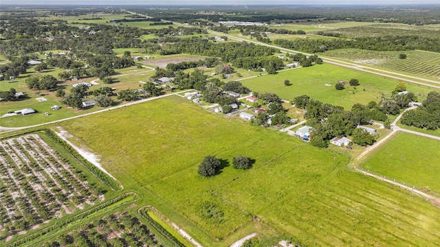 NE Edwards Dr, Arcadia, FL 34266 - photo 6