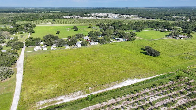 NE Edwards Dr, Arcadia, FL 34266 - photo 9
