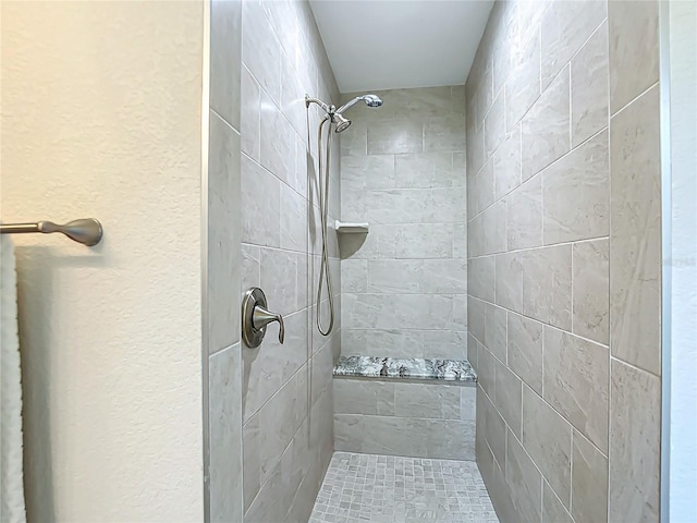 5493 Jody Ave, North Port, FL 34288 - bathroom with a tile shower