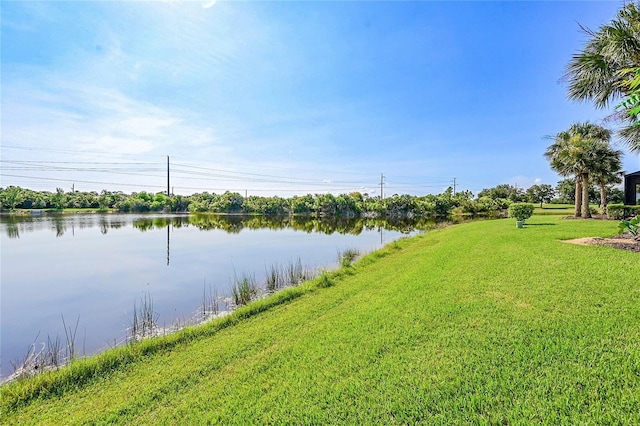 333 Cipriani Way N, Venice, FL 34275 - photo 43