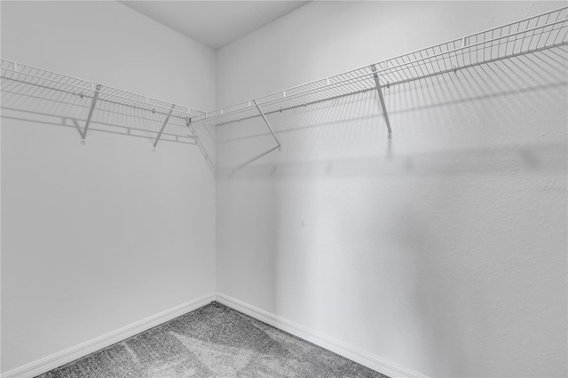 17395 Palmetto Pass Ln, Punta Gorda, FL 33982 - spacious closet featuring carpet