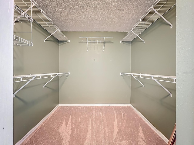 3117 E 57th Avenue Cir E, Bradenton, FL 34203 - photo 25