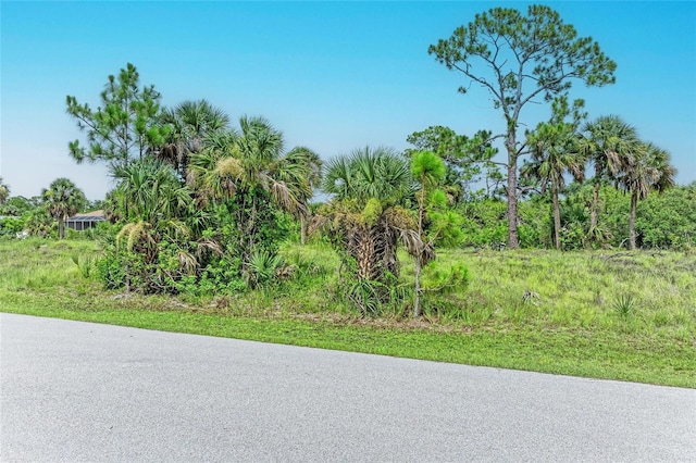 2296 Hale St, Port Charlotte, FL 33953 - photo 2
