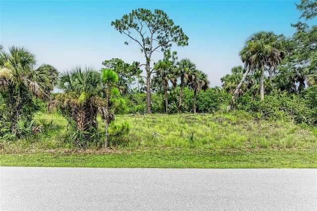 2296 Hale St, Port Charlotte, FL 33953 - photo 3