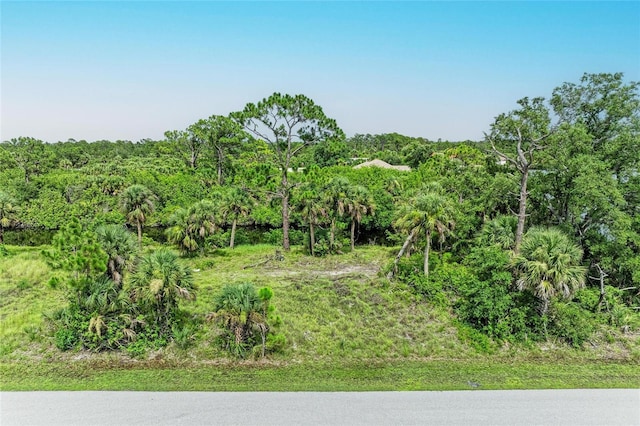 2296 Hale St, Port Charlotte, FL 33953 - photo 5