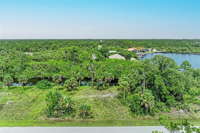 2296 Hale St, Port Charlotte, FL 33953 - photo 6