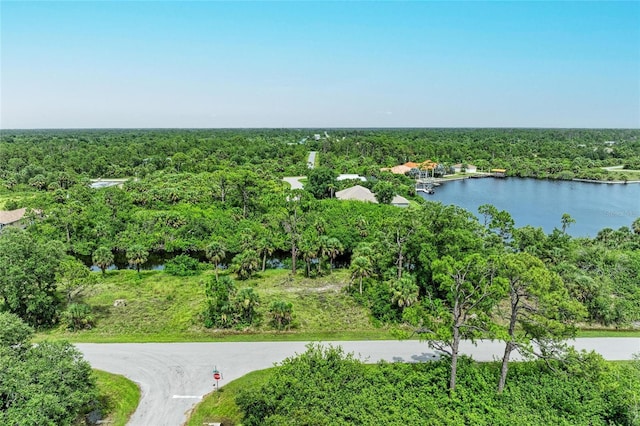 2296 Hale St, Port Charlotte, FL 33953 - photo 7