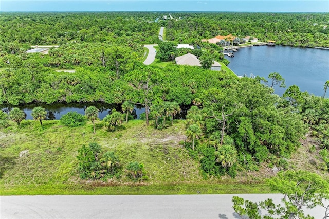2296 Hale St, Port Charlotte, FL 33953 - photo 8