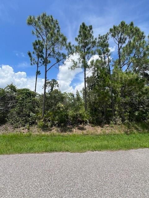 23324 Airway Ave, Punta Gorda, FL 33980 - photo 2