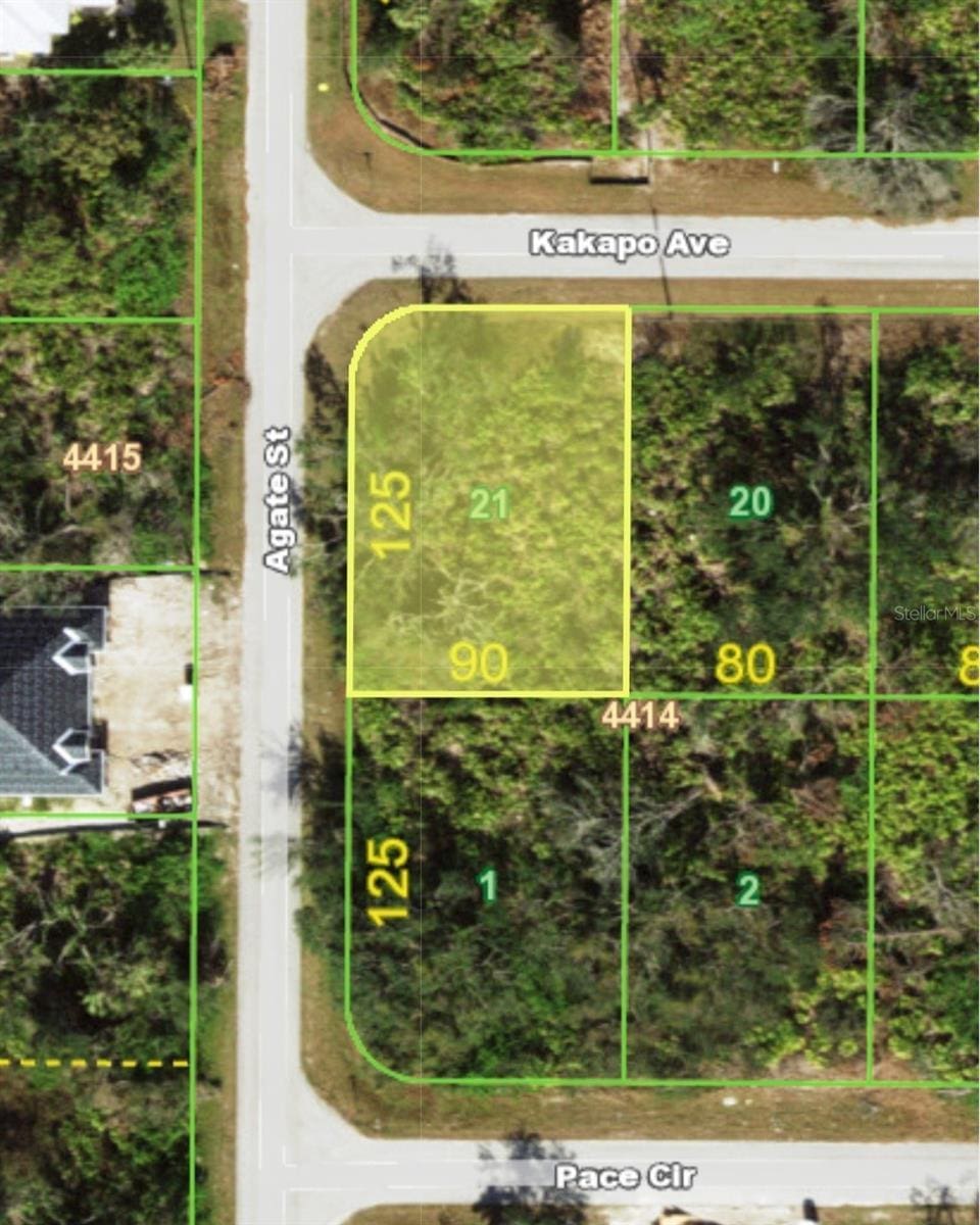 13147 Kakapo Ave, Port Charlotte, FL 33981 - photo 1