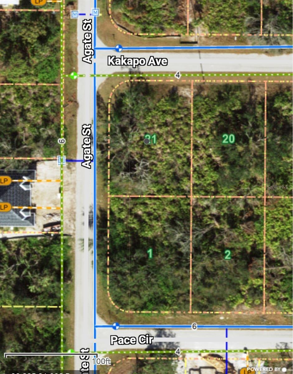13147 Kakapo Ave, Port Charlotte, FL 33981 - photo 4