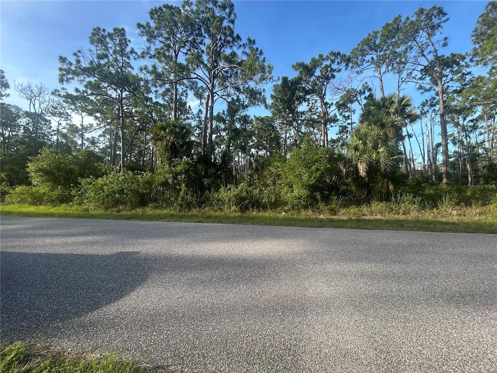 18157 Wakashan Ave, Port Charlotte, FL 33948 - photo 1