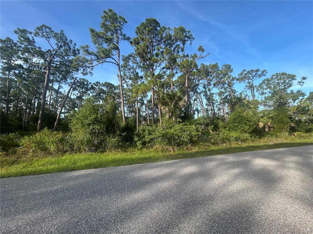 18157 Wakashan Ave, Port Charlotte, FL 33948 - photo 2