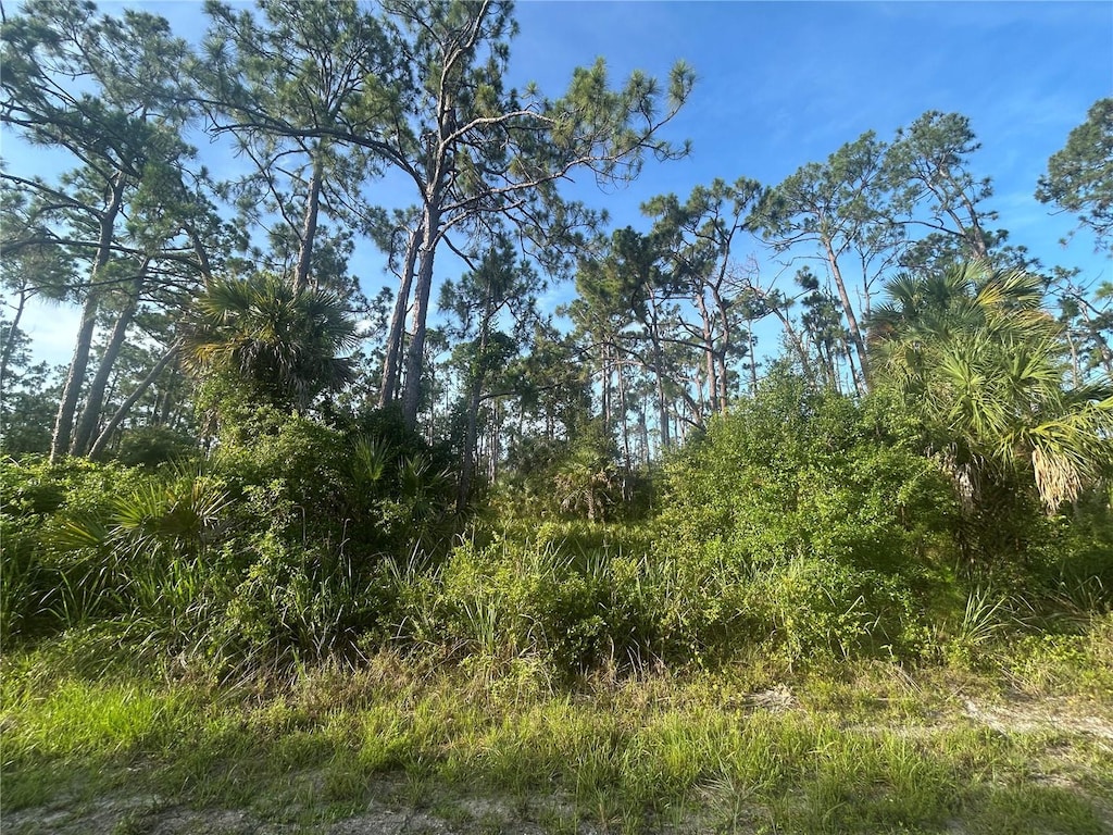 18157 Wakashan Ave, Port Charlotte, FL 33948 - photo 3