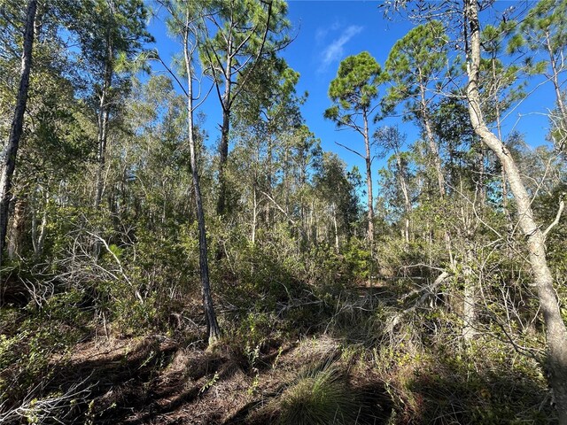 7041 Sweden Blvd, Punta Gorda, FL 33982 - photo 3