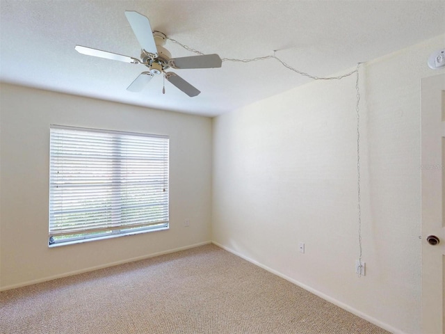 21267 Gertrude Ave Unit 113, Port Charlotte, FL 33952 - photo 16