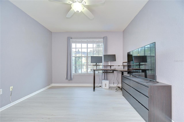 5125 Palm Springs Blvd Unit 11202, Tampa, FL 33647 - photo 12