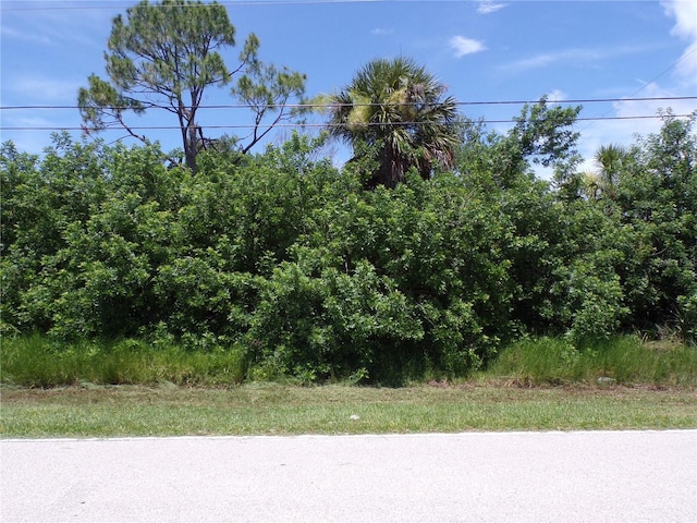 3615 Vasco St, Punta Gorda, FL 33950 - photo 1