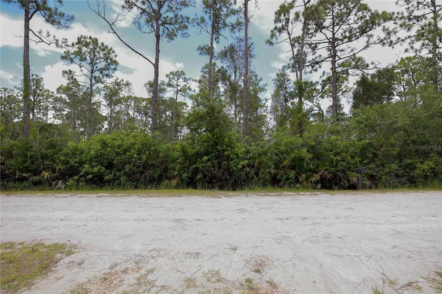 28381 Hermoso Dr, Punta Gorda, FL 33955 - photo 2