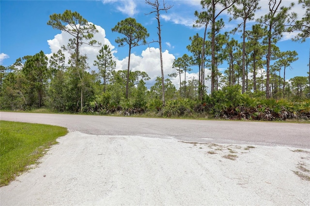 28364 Plato Dr, Punta Gorda, FL 33955 - photo 3