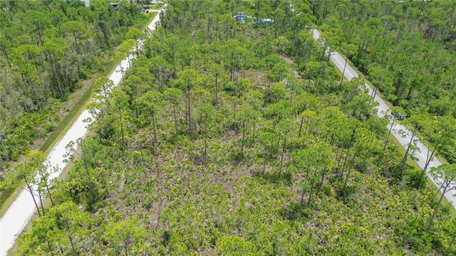 28364 Plato Dr, Punta Gorda, FL 33955 - photo 7