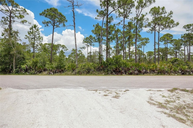 28364 Plato Dr, Punta Gorda, FL 33955 - photo 8