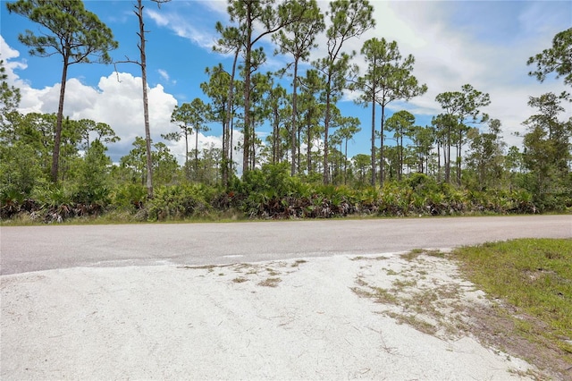 28364 Plato Dr, Punta Gorda, FL 33955 - photo 11