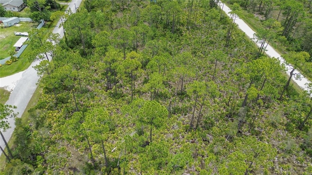 28364 Plato Dr, Punta Gorda, FL 33955 - photo 15
