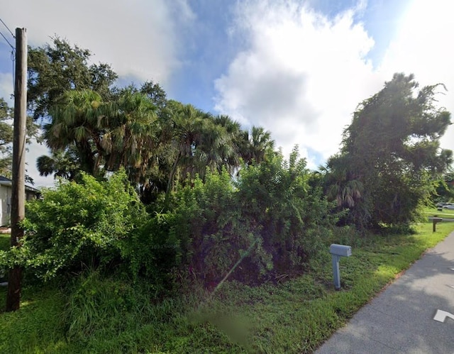 LOT16 Zoratoa Ave, North Port, FL 34286 - photo 3