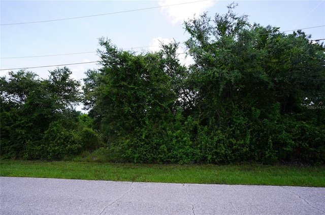 12980 Ridgely Cir Unit 3, Port Charlotte, FL 33981 - photo 3