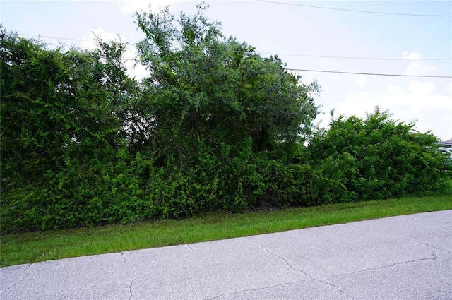12980 Ridgely Cir Unit 3, Port Charlotte, FL 33981 - photo 4