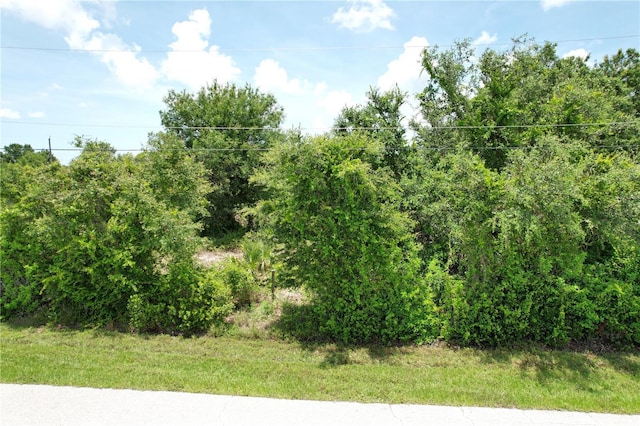 12980 Ridgely Cir Unit 3, Port Charlotte, FL 33981 - photo 5