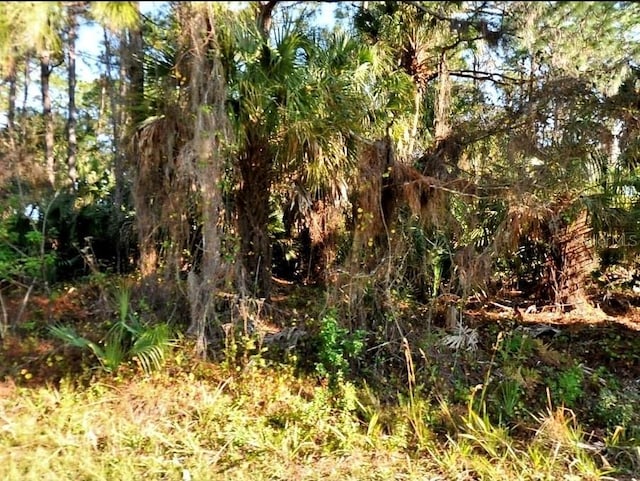 Badal Rd, North Port, FL 34286 - photo 4