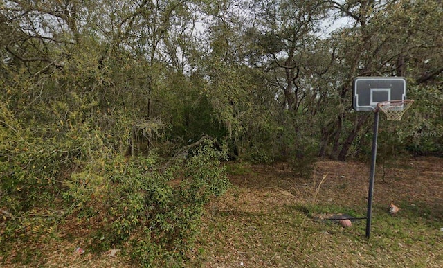 108 Palmer Dr, Interlachen, FL 32148 - photo 2