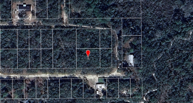 108 Palmer Dr, Interlachen, FL 32148 - photo 4