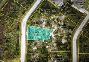 Ohio Rd, North Port, FL 34291 - photo 1