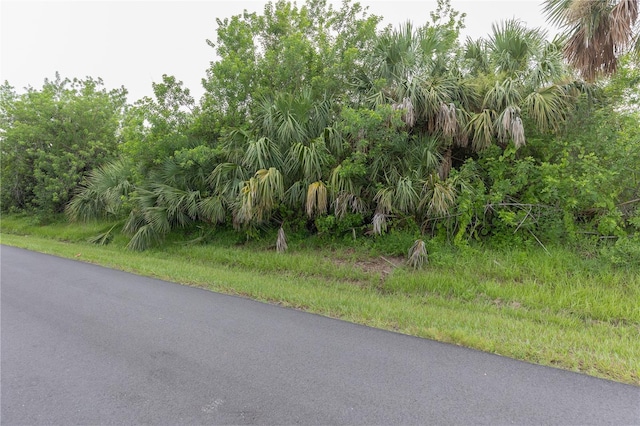 4213 Cockrell St, Port Charlotte, FL 33948 - photo 6