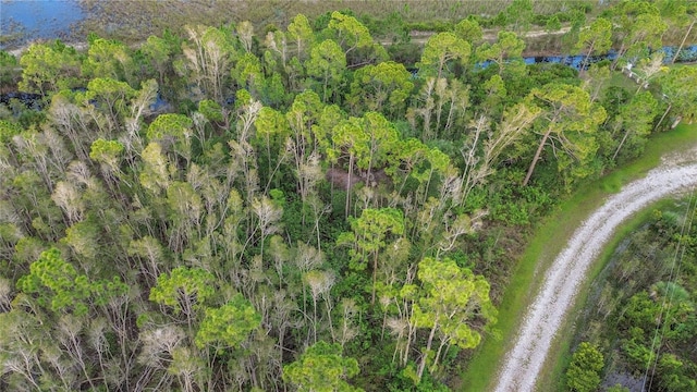 12432 Landau Ct, Punta Gorda, FL 33955 - photo 8