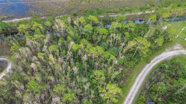 12432 Landau Ct, Punta Gorda, FL 33955 - photo 15