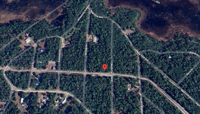 118 N Carolina Dr, Satsuma, FL 32189 - photo 3