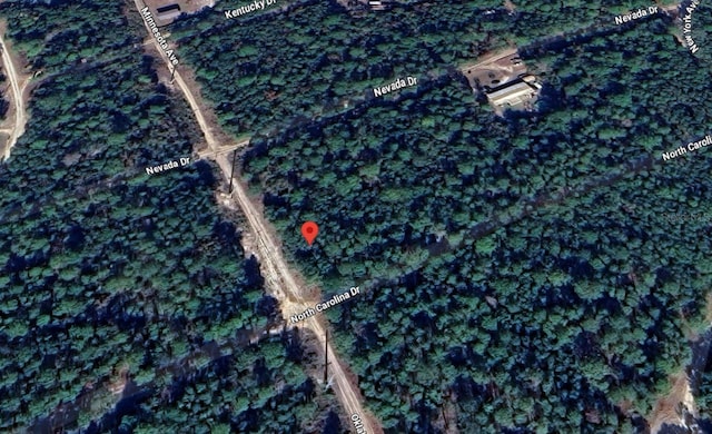 118 N Carolina Dr, Satsuma, FL 32189 - photo 4