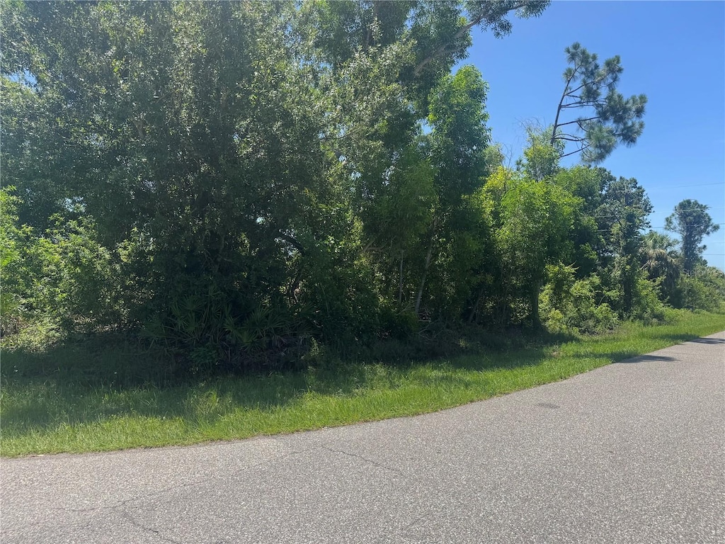 12399 Deepwoods Ave, Port Charlotte, FL 33981 - photo 3
