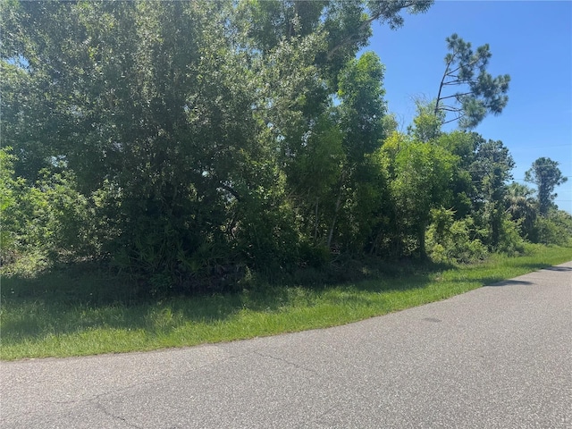 12399 Deepwoods Ave, Port Charlotte, FL 33981 - photo 3