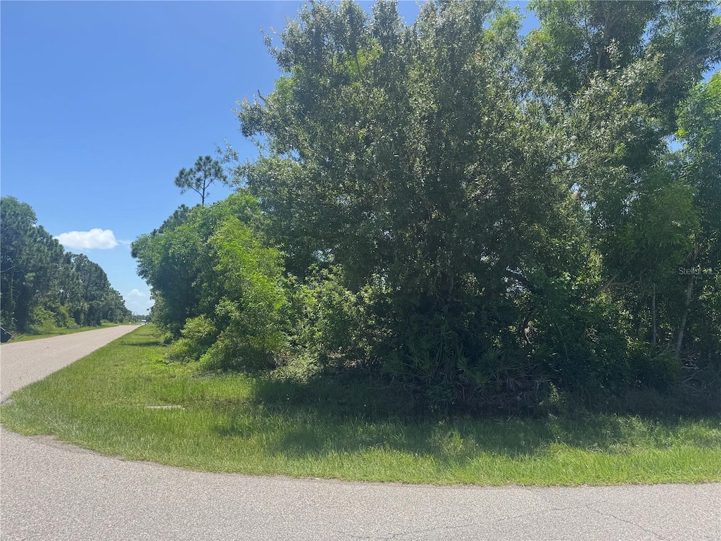 12399 Deepwoods Ave, Port Charlotte, FL 33981 - photo 4