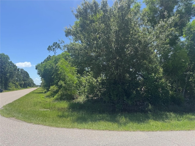 12399 Deepwoods Ave, Port Charlotte, FL 33981 - photo 4
