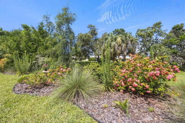 395 W Rossetti Dr, Nokomis, FL 34275 - photo 46
